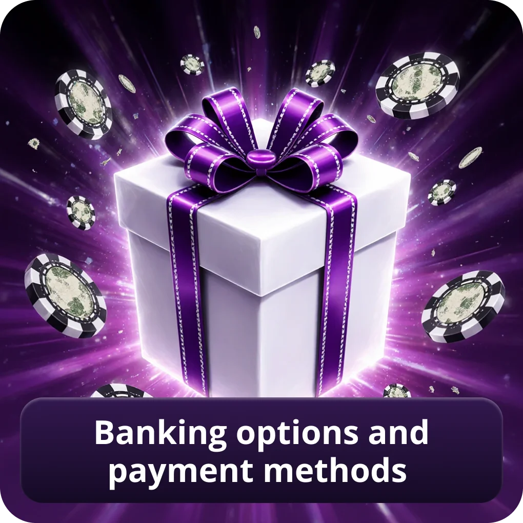Banking Options And Payment Methods Spinyoo Casino overview Banking Options And Payment Methods